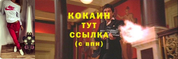 2c-b Дмитриев