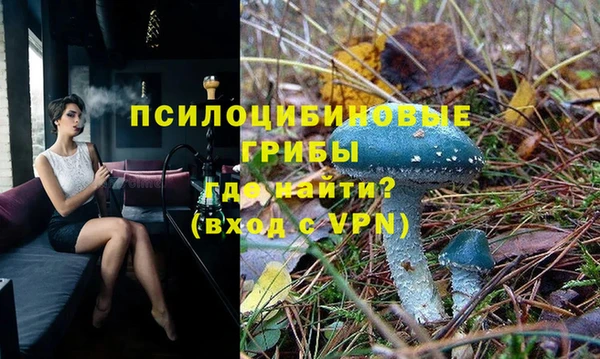 трава Арсеньев
